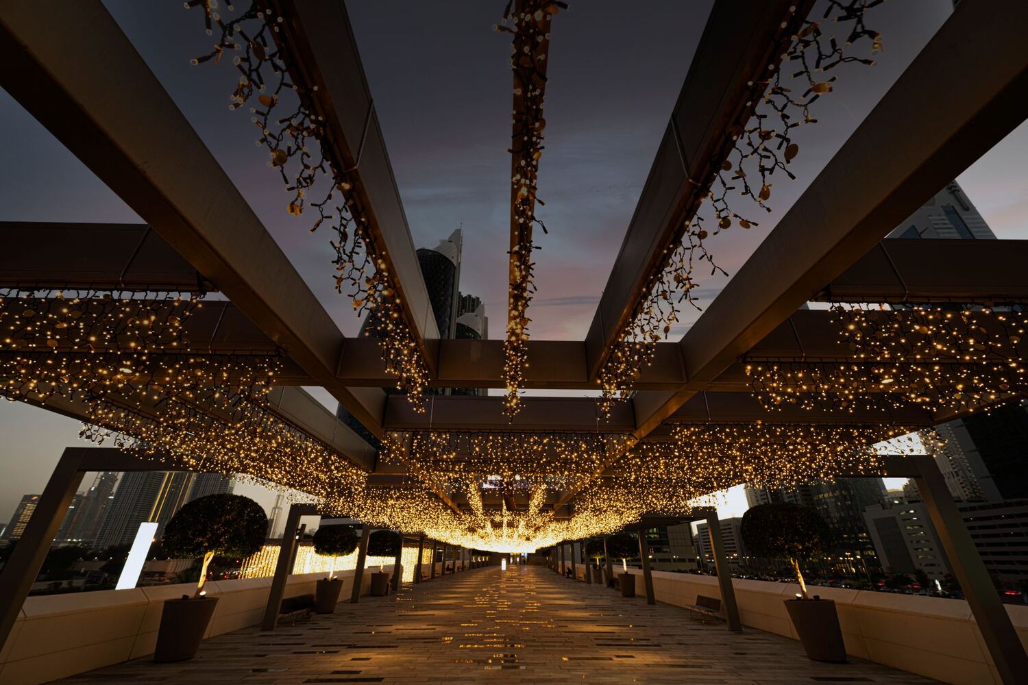 Pergola strung with warm lights over a patio